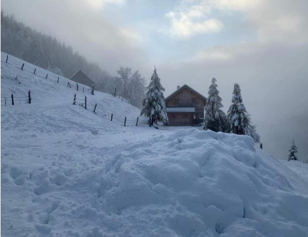 Villa Marhütte Ebene Reichenau Exterior foto